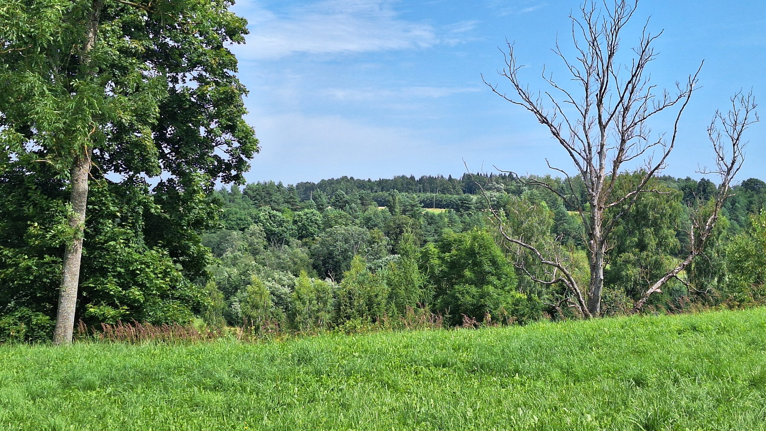 Lėvens kraštovaizdžio maršrutas (14km žygis)